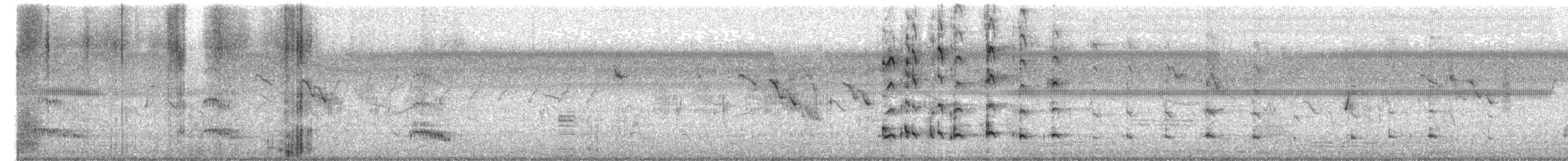 Gray-headed Swamphen - ML650822451