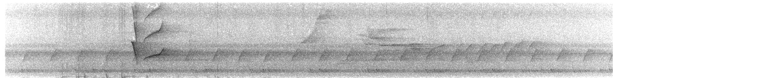 Hair-crested Drongo - ML650823356