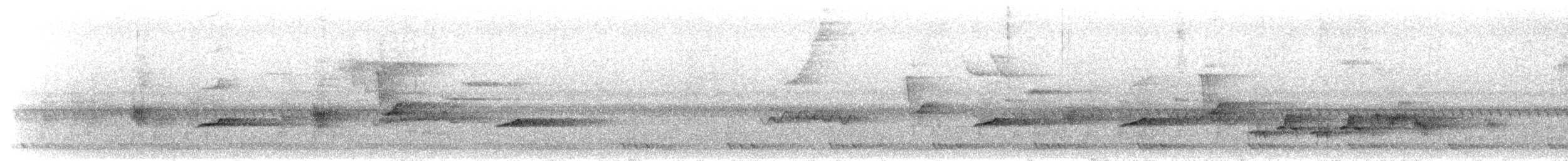 Hair-crested Drongo - ML650823357