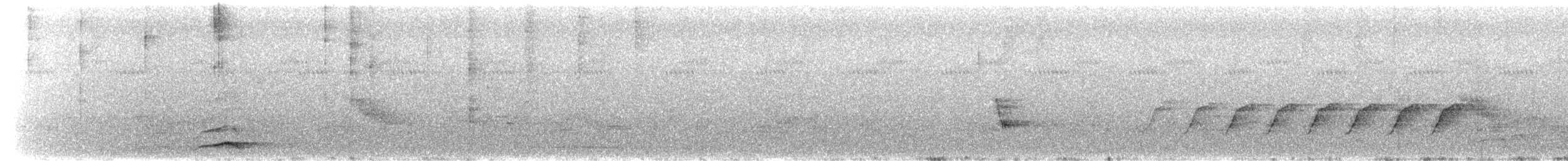 rødkragespett - ML650825456