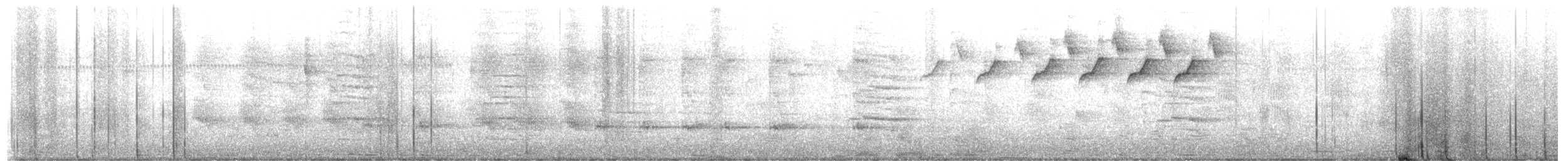 סבכון עקוד - ML650827957