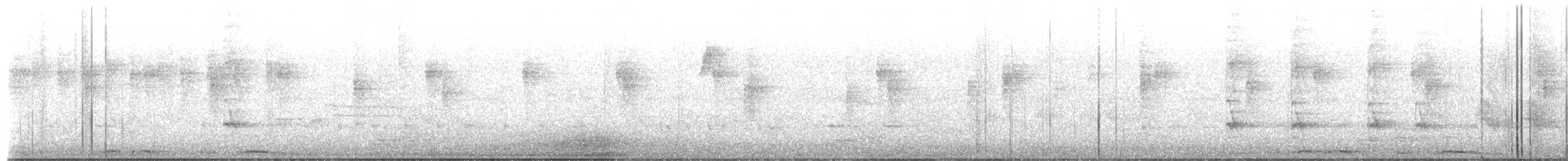 White-winged Dove - ML650828019