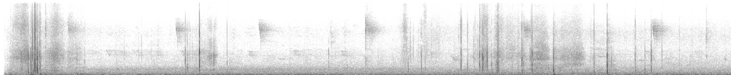 סבכון חכלילי - ML650828094