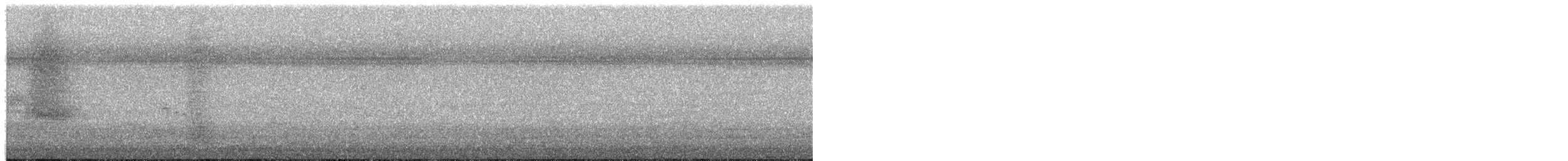 Eastern Barn Owl - ML650829811