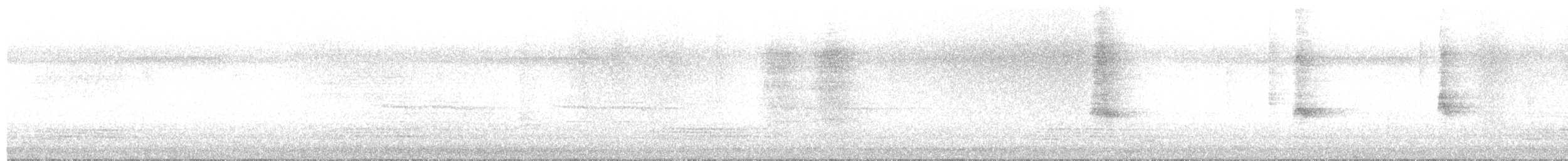 Eastern Barn Owl - ML650829824