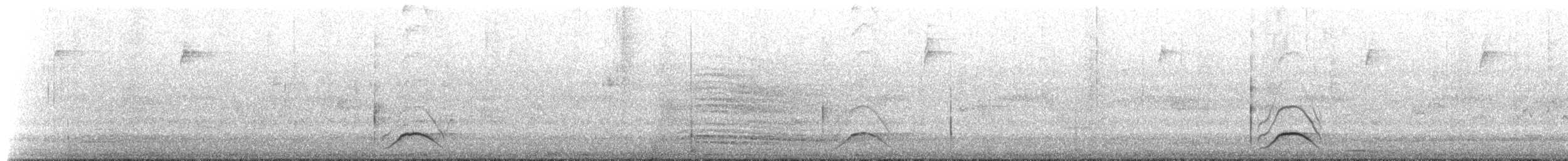 Кубла строката - ML650833612