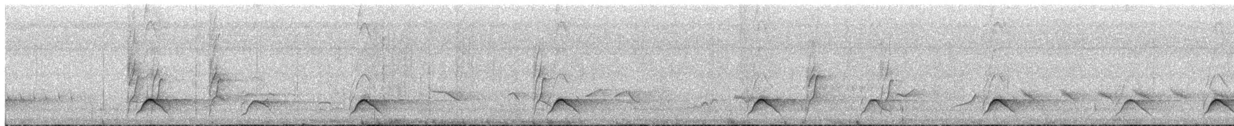 Кубла строката - ML650834170