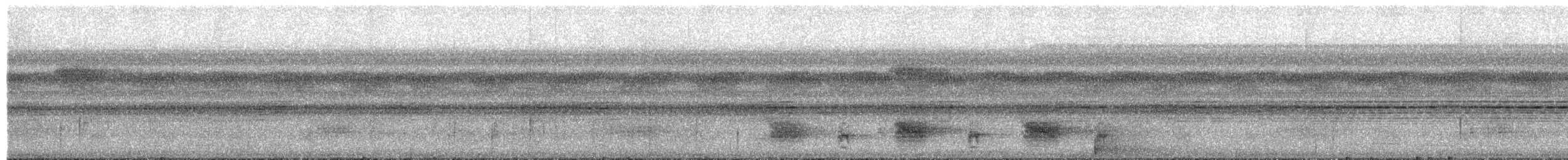 Gray Antbird - ML650836350