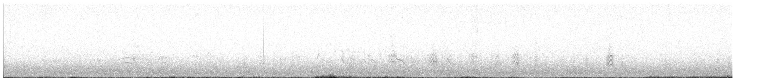 Acorn Woodpecker - ML650836583