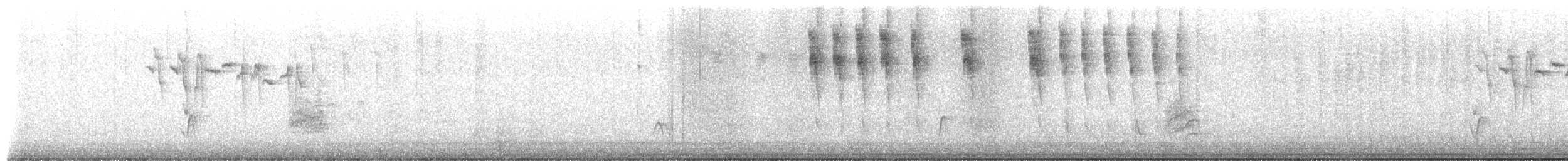 Woodhouse's Scrub-Jay - ML650836621