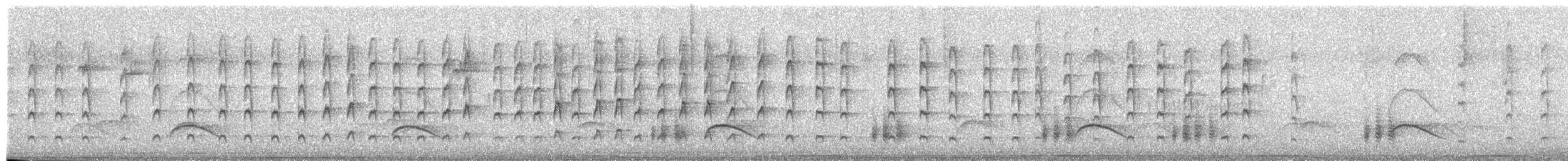 Des Murs's Wiretail - ML650836795