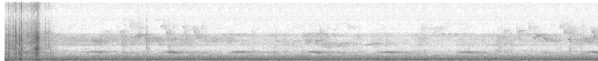 Choco Toucan - ML650837240