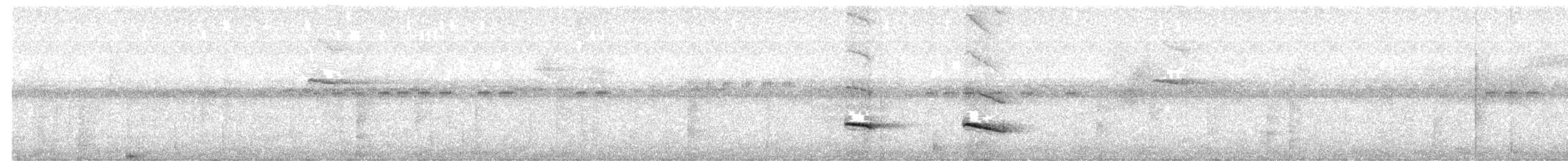 Chestnut-backed Antbird (Short-tailed) - ML650837276