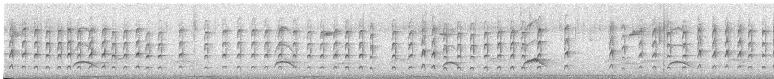 Des Murs's Wiretail - ML650837326