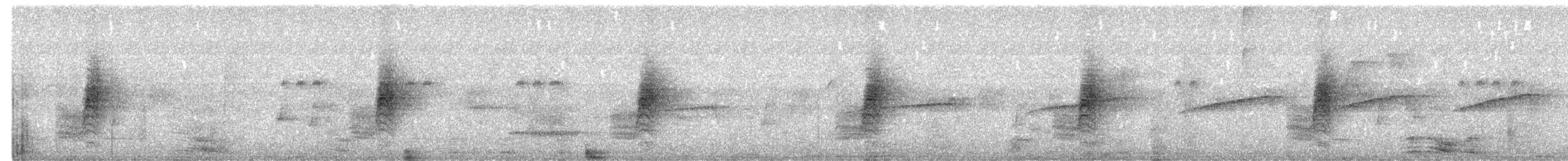 Lanceolated Monklet - ML650837341