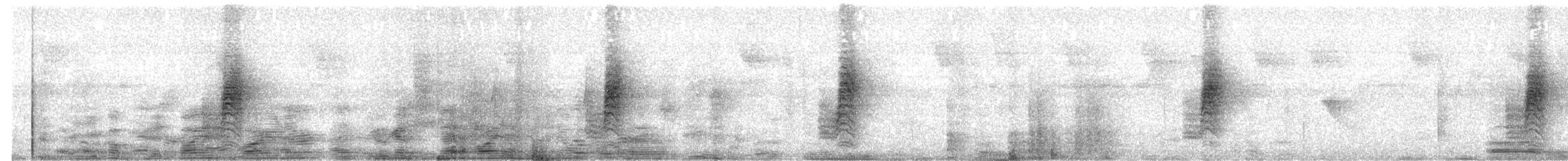 Southern House Wren (North Andean) - ML650837475