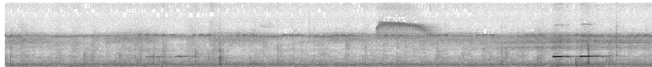 Rufous-breasted Antthrush - ML650837522