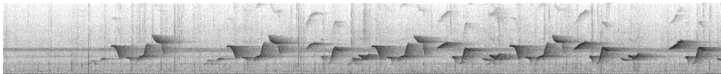 Cucarachero Pechigrís - ML650838027