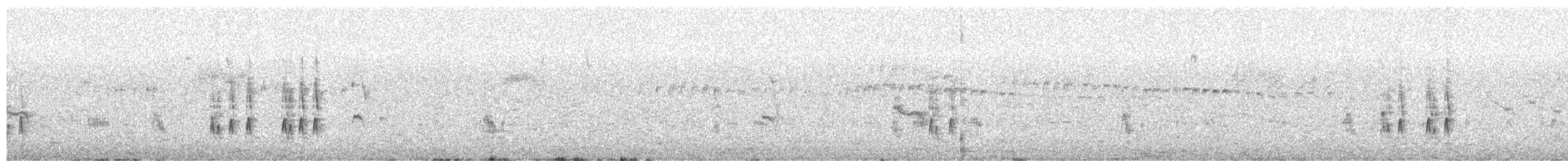 セキレイタイランチョウ - ML650844334