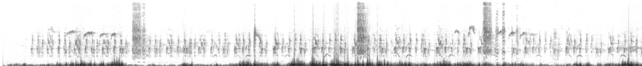 セキレイタイランチョウ - ML650844335