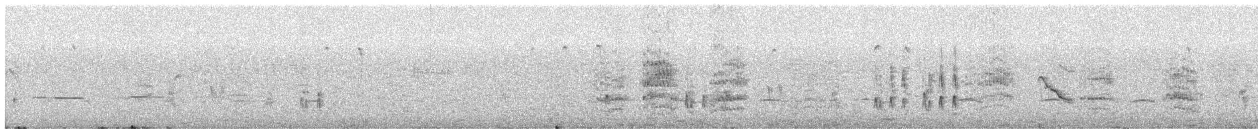 セキレイタイランチョウ - ML650844336