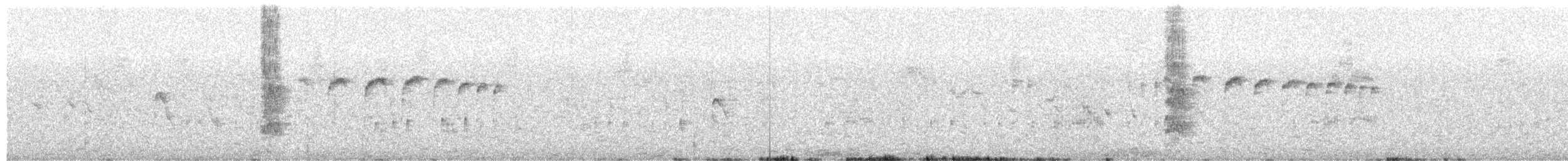 シマボウシカマドドリ - ML650844429