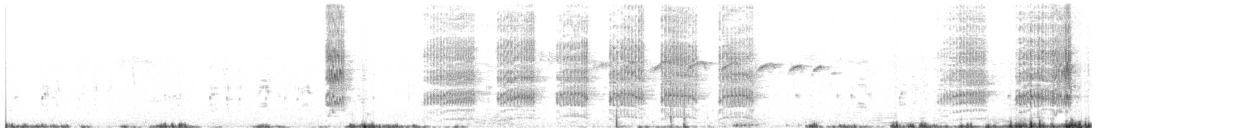 シマボウシカマドドリ - ML650844430