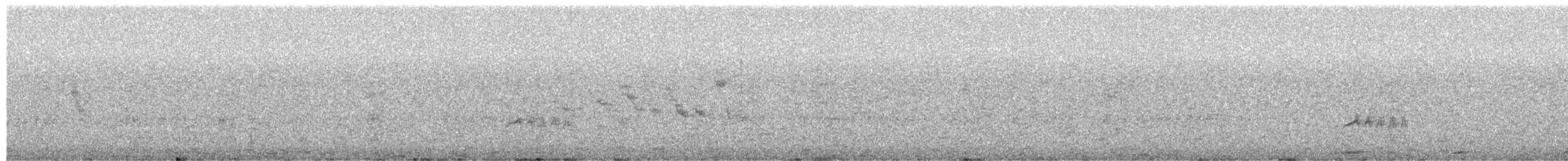 フタスジハエトリ - ML650844499