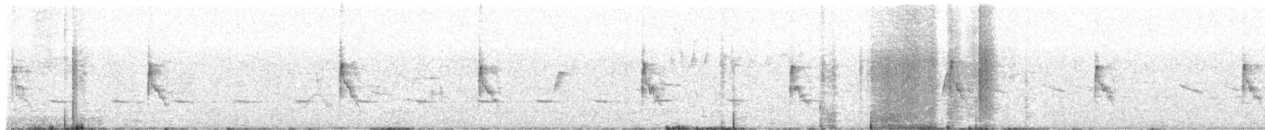 ムナジロオナガカマドドリ - ML650844525