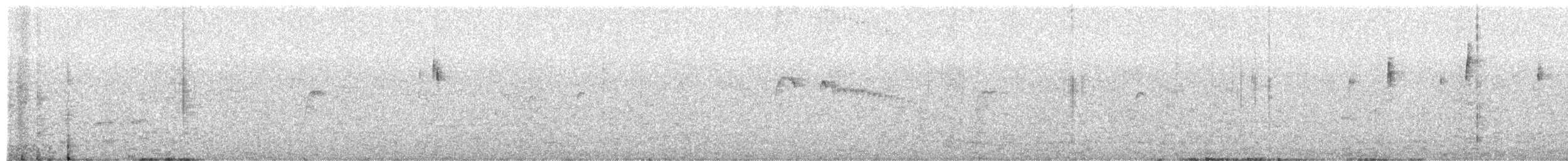 ハイガシラカトリタイランチョウ - ML650844577