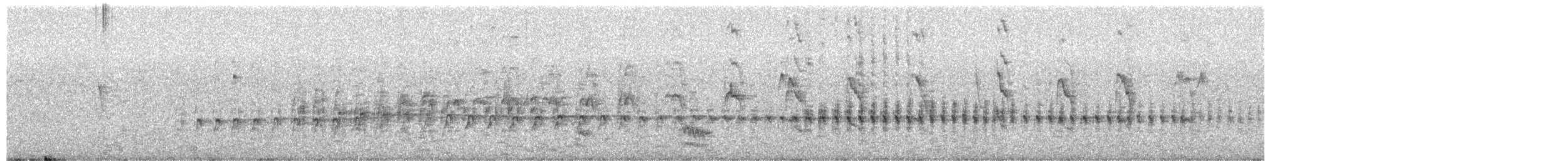 ハイイロアメリカカッコウ - ML650845147