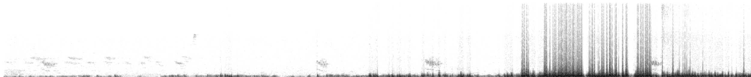 ハイイロアメリカカッコウ - ML650845149