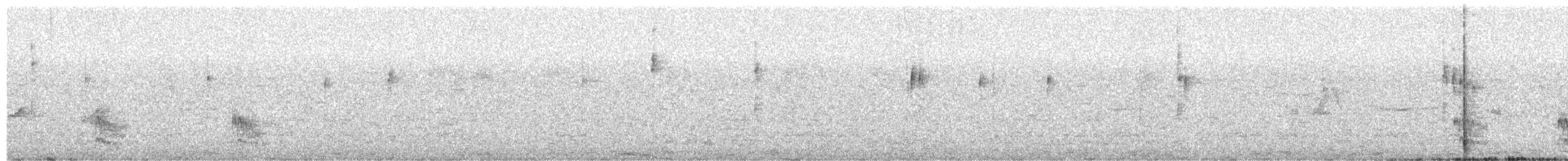 ハイイロアメリカカッコウ - ML650845338