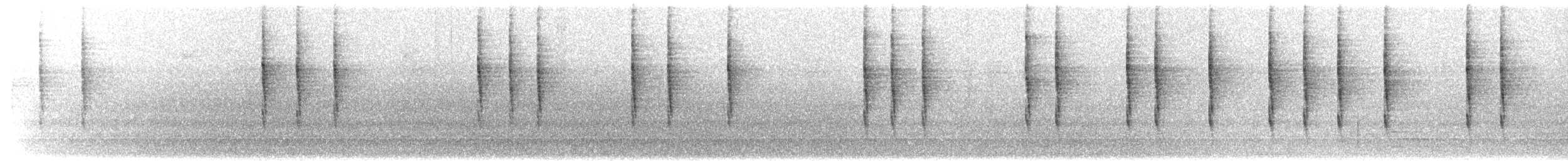 Pacific Wren - ML650845907