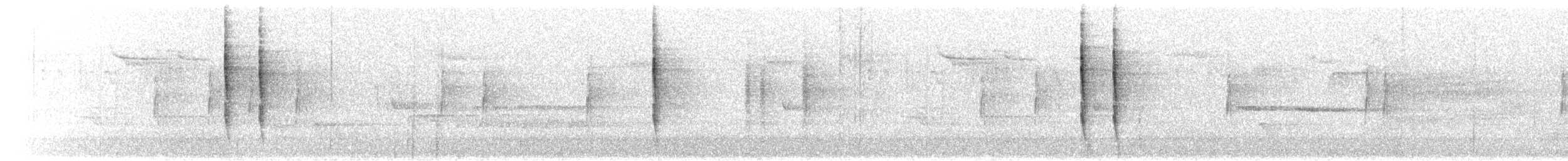 Pacific Wren - ML650845908