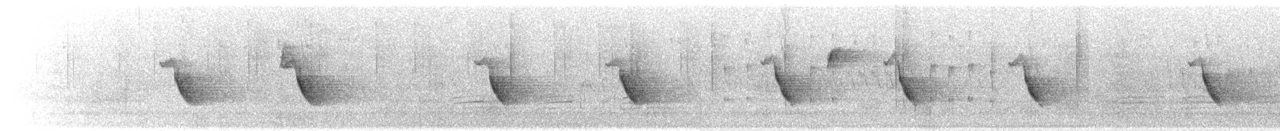 Hutton's Vireo - ML650846088