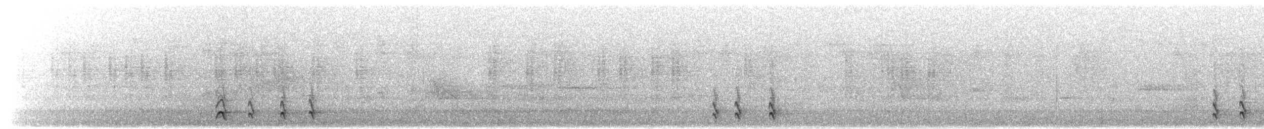 American Robin - ML650846299