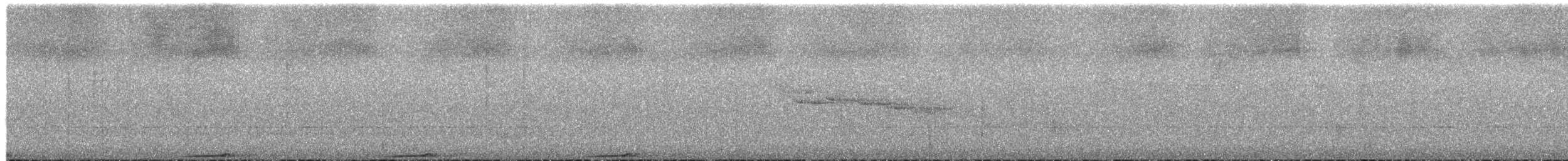 Superb Fruit-Dove - ML650847689