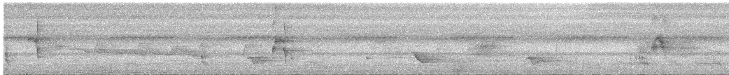 Coconut Lorikeet - ML650848642