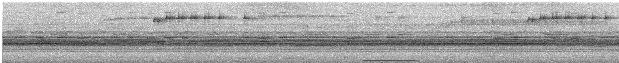 Marmorschwalm - ML650849170