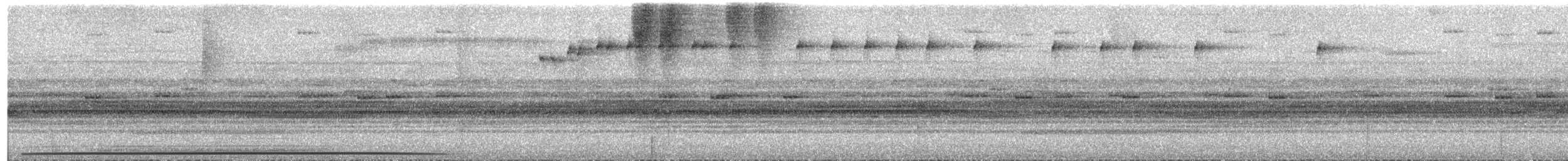 Marmorschwalm - ML650849173