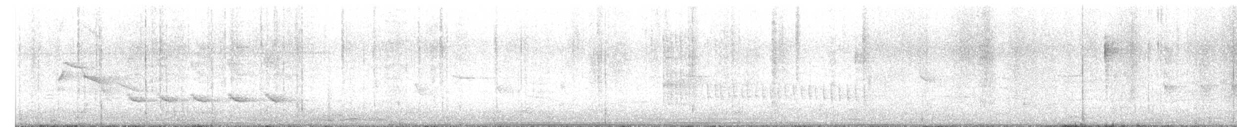 זרון אמריקני - ML650851394