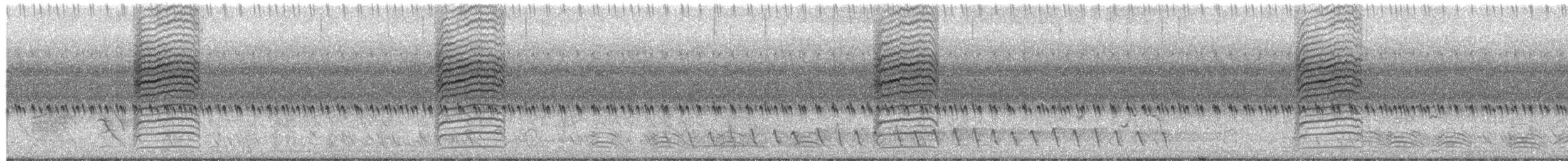 Golden-headed Cisticola - ML650852531