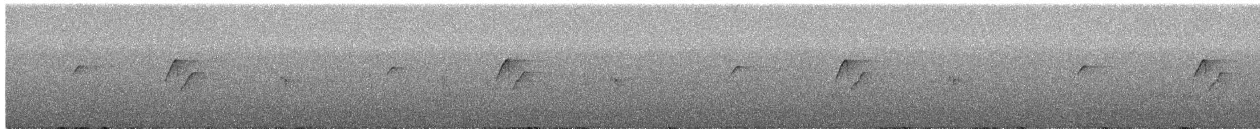 Western Flycatcher - ML650854169