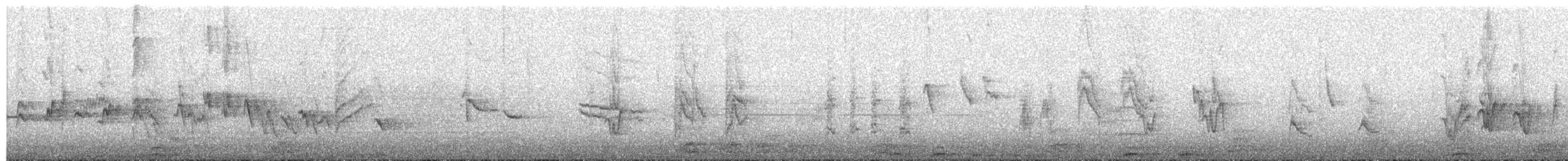 House Finch - ML650855636