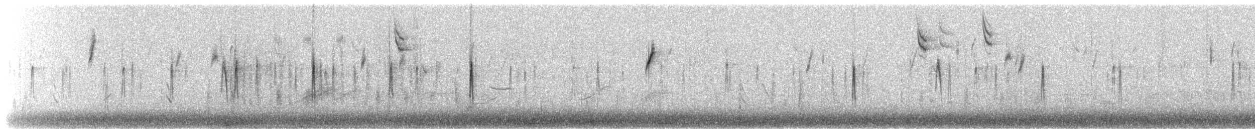 myrteparula (coronata) - ML650859855