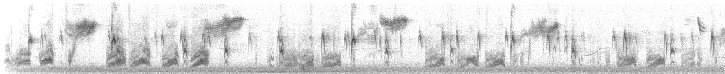 rødsidetovi - ML650860803