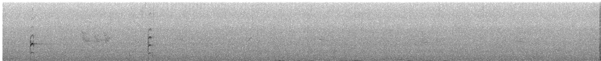 Spotless Crake - ML650861284