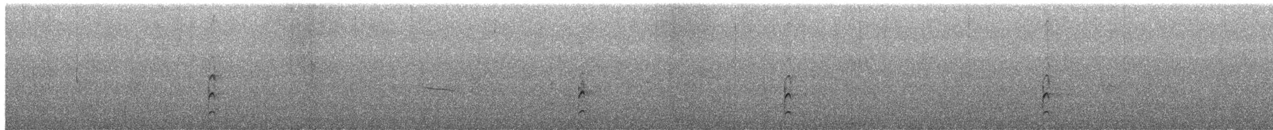 Spotless Crake - ML650861407