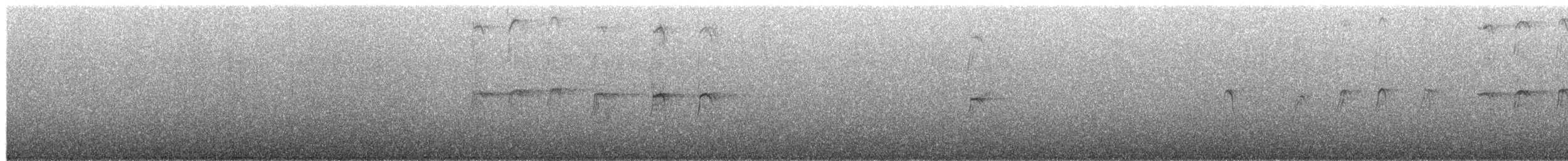 Black-winged Petrel - ML650866532